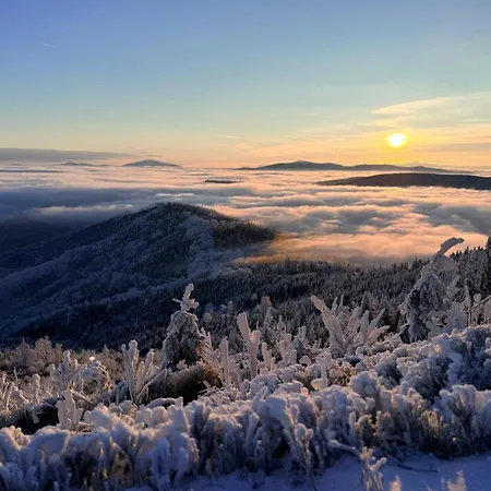 شقة Barkowska 25 - Nowoczesny Blisko Gor Z Parkingiem By Reapartments *