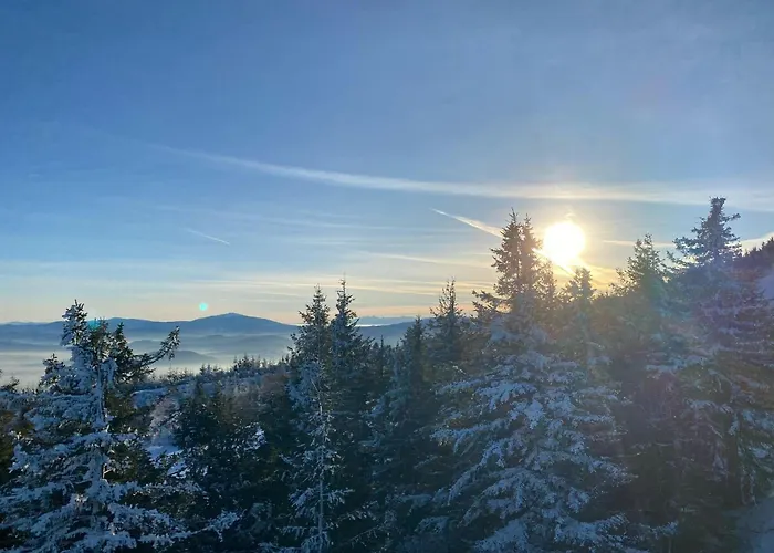 דירה Barkowska 25 - Nowoczesny Blisko Gor Z Parkingiem By Reapartments