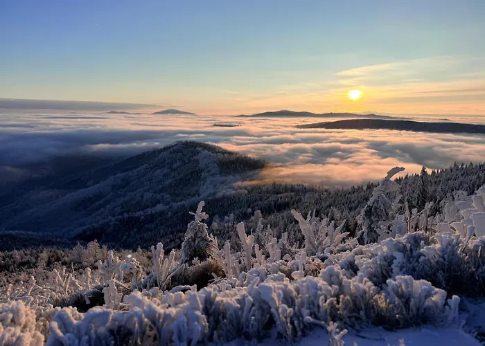 شقة Barkowska 25 - Nowoczesny Blisko Gor Z Parkingiem By Reapartments *